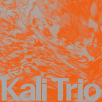 KALI Trio - The Playful Abstract - RON043LP