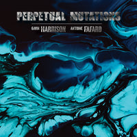 Gavin Harrison & Antoine Fafard - Perpetual Mutations - HH20241A