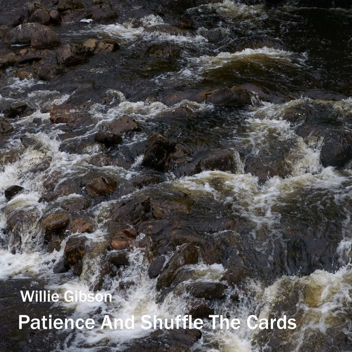 Willie Gibson - Patience and Shuffle The Cards - GDNCD131