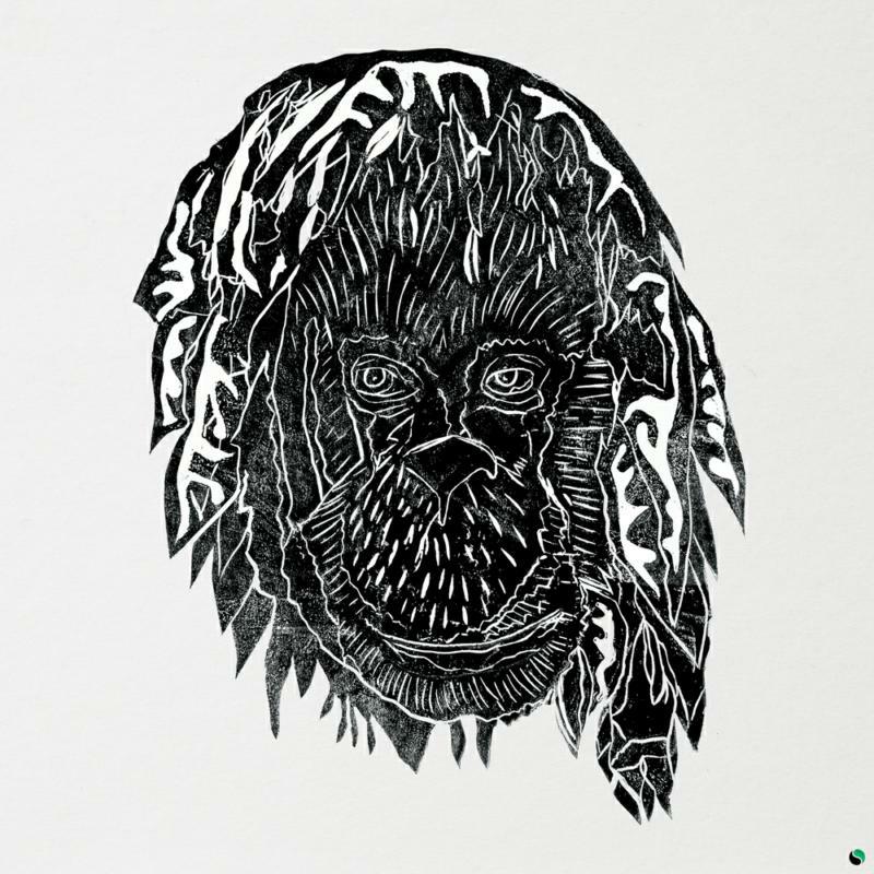 Alpha Steppa - Raise The Ark - ASLP01314