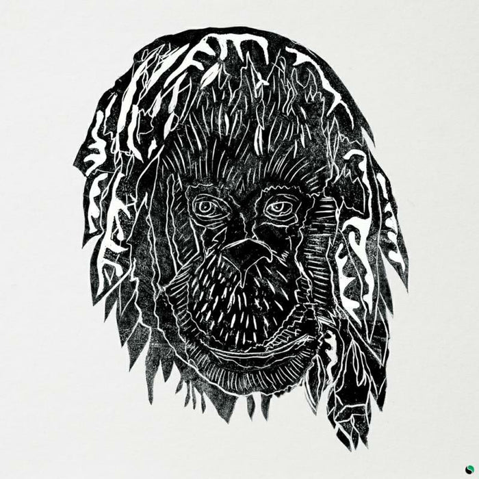 Alpha Steppa - Raise The Ark - ASLP01314