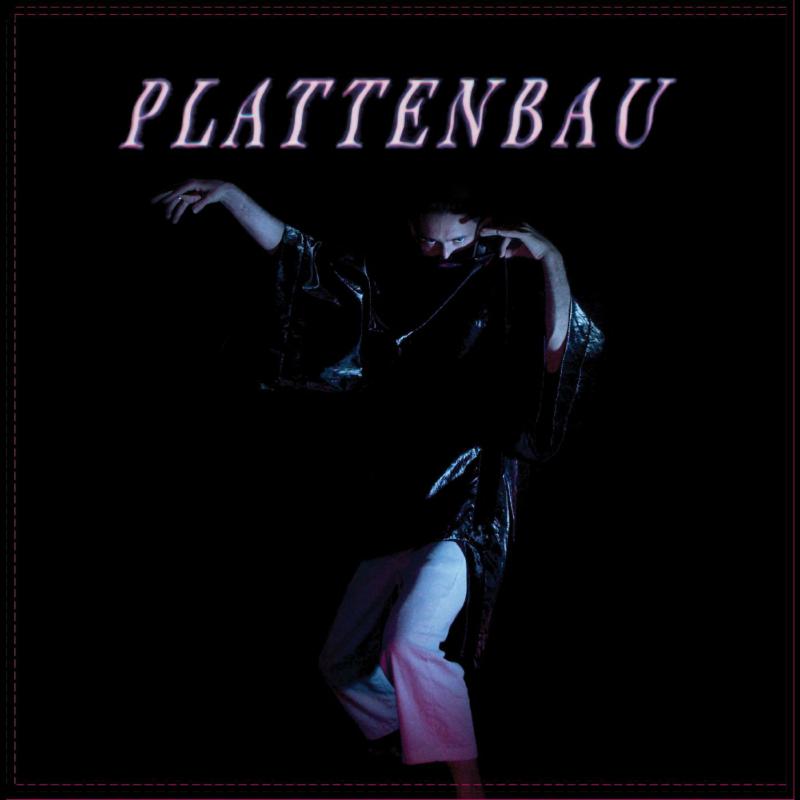 Plattenbau - Shape / Shifting - LPDED004LE