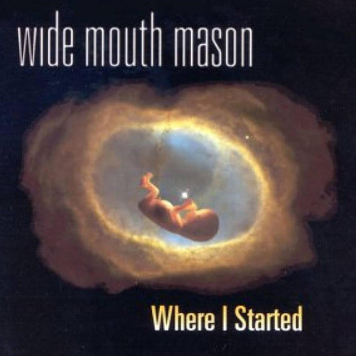 Wide Mouth Mason - Where I Started - LPRRL003