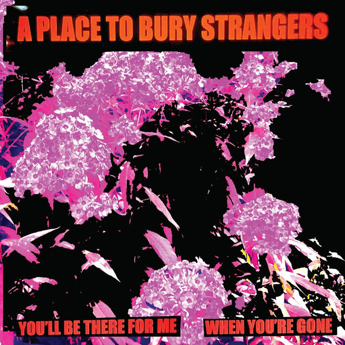 A Place To Bury Strangers - You'll Be There For Me/When You're Gone - SIDED023C