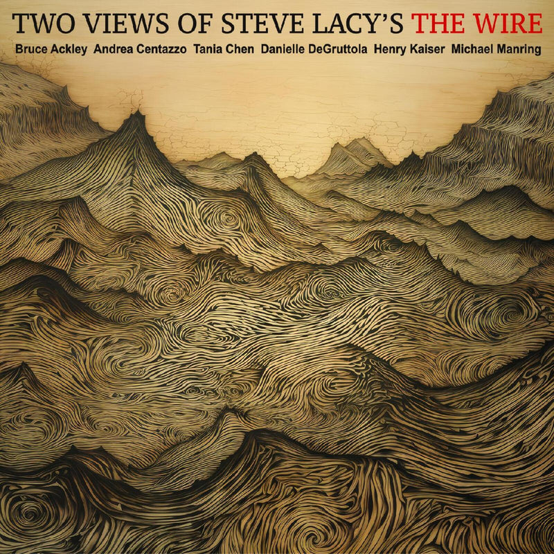 Ackley-Chen-Centazzo-DeGruttola-Kaiser-Manring - Two Views of Steve Lacys the Wire - CDDG296
