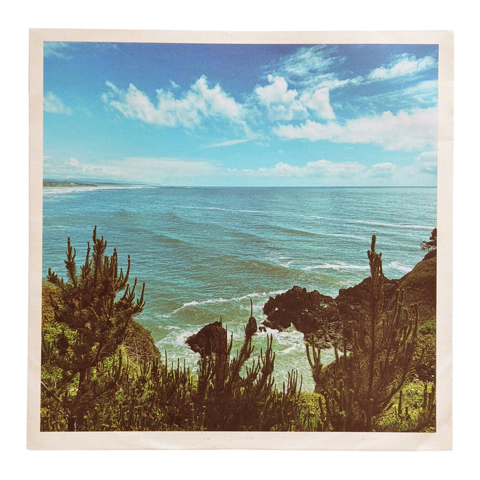 Oilix - Nothing But Summer - BUSTEDINCHES138