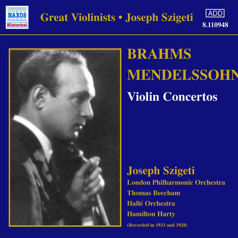 Brahms:Mendelssohn - BRAHMS / MENDELSSOHN: Violin Concertos - 8110948
