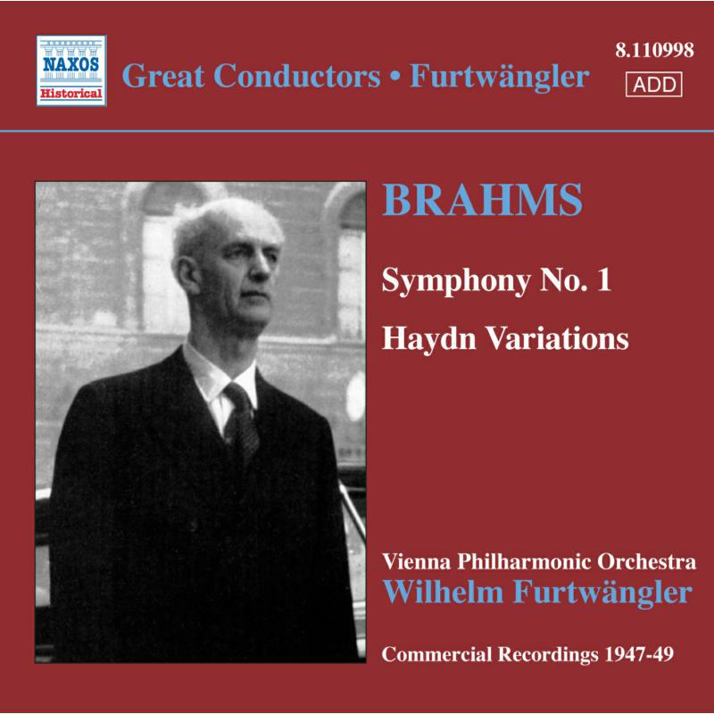 Vienna Po - BRAHMS: Symphony No. 1 / Haydn Variations - 8110998