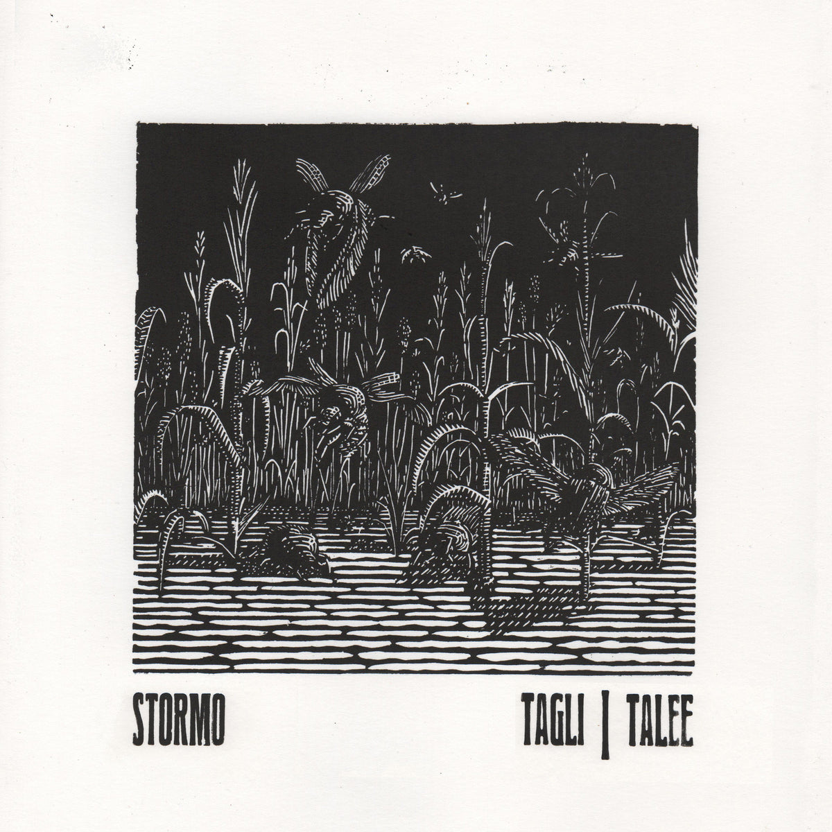 STORMO - Tagli/Talee - PROS106472