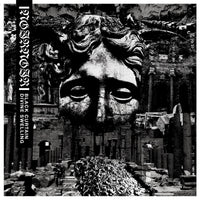 Noir Noir - Black Curtain / Divine Swelling - SRUIN249LP