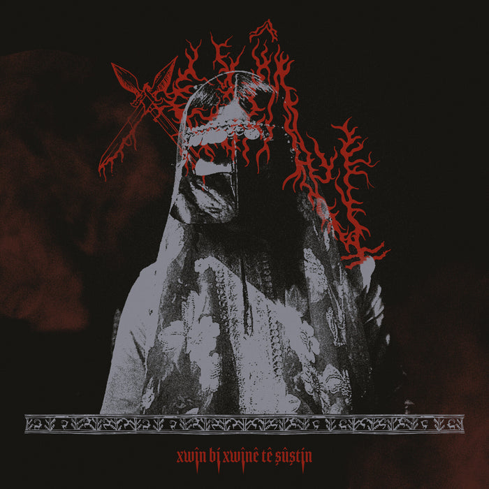 Xwin - Xwin Bi Xwine Te Sustin - SRUIN261LP