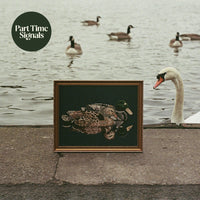 PART TIME SIGNALS - DUCK'S BACK, BABY - BWR087