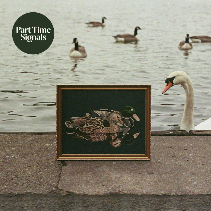 PART TIME SIGNALS - DUCK'S BACK, BABY - BWR087