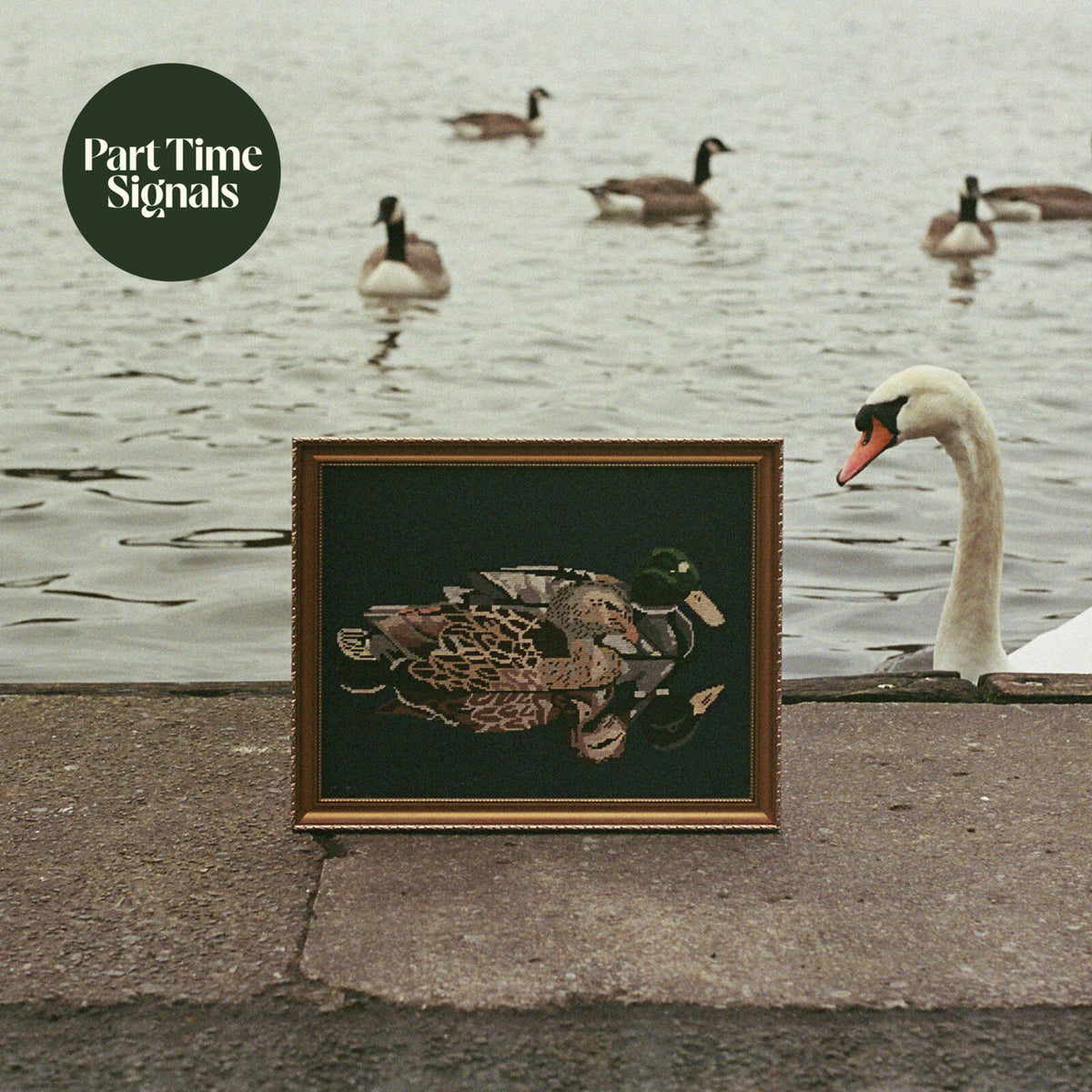 PART TIME SIGNALS - DUCK'S BACK, BABY - BWR087CD