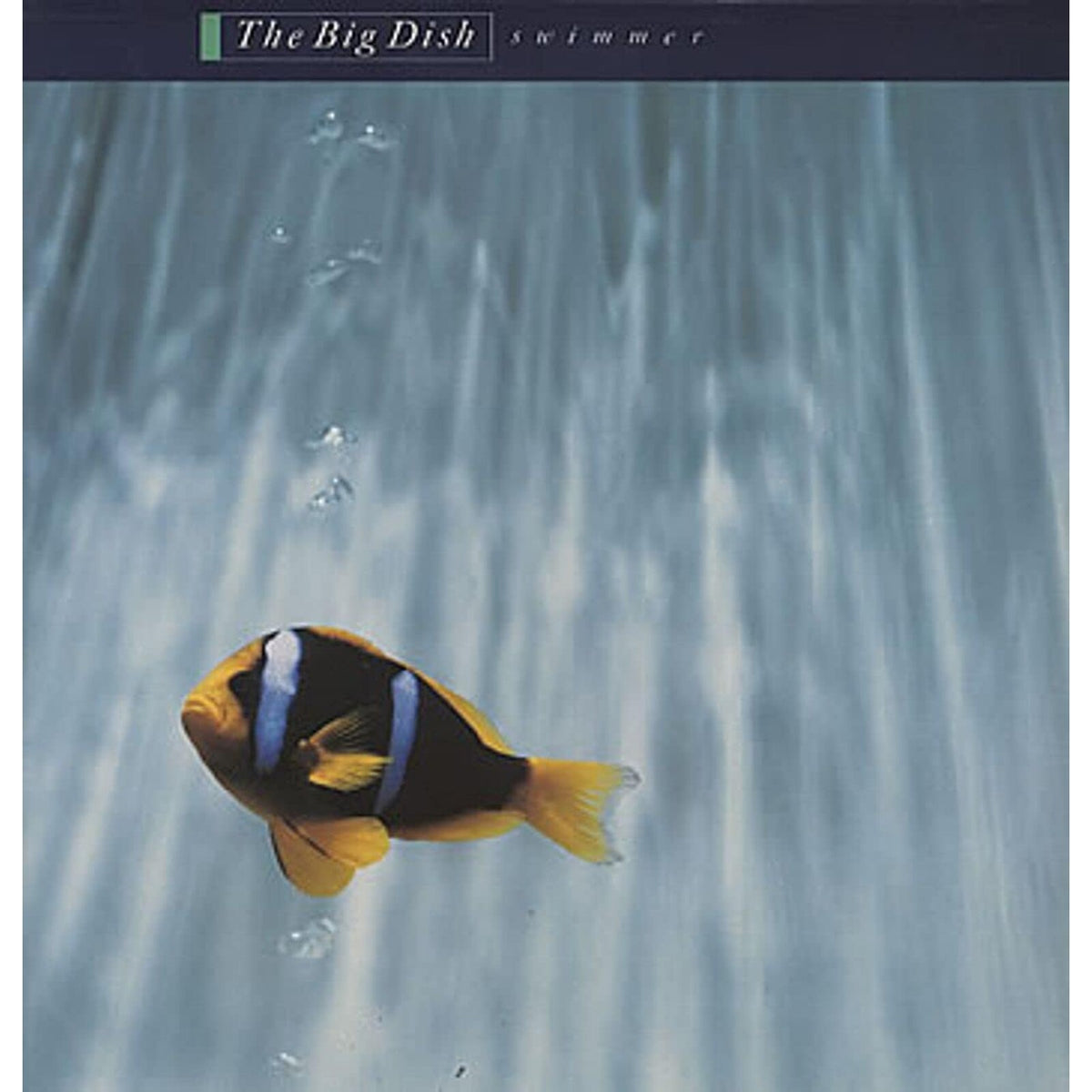 The Big Dish - Swimmer (40th Anniversary) - PNFG72B