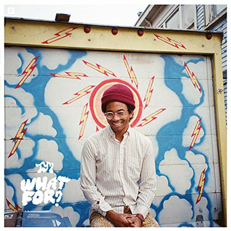 Toro Y Moi - What For - CAK102LP
