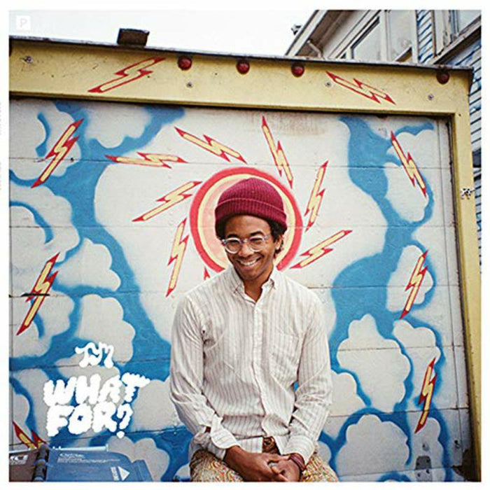 Toro Y Moi - What For - CAK102LP