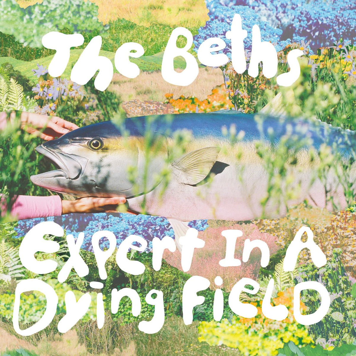 THE BETHS - EXPERT IN A DYING FIELD - CAK164LPSILV