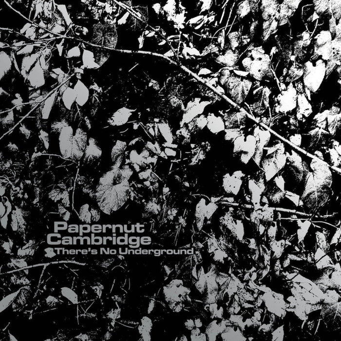Papernut Cambridge - There&#39;s No Underground