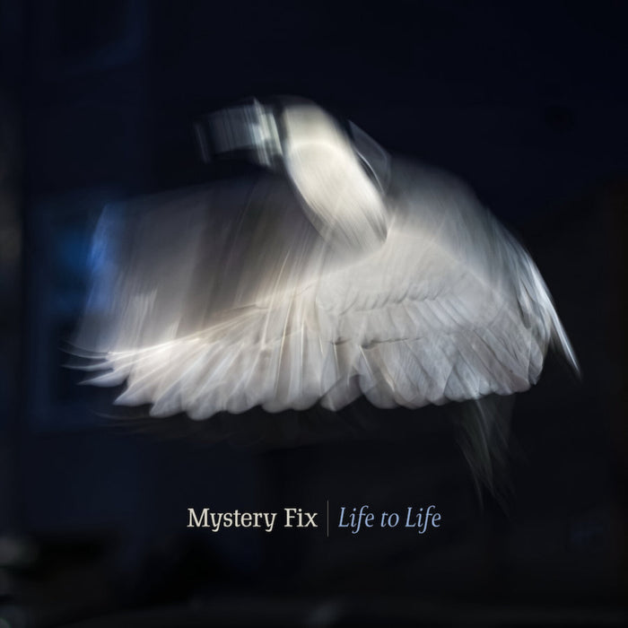 Mystery Fix - Life To LIfe - GDNCD092