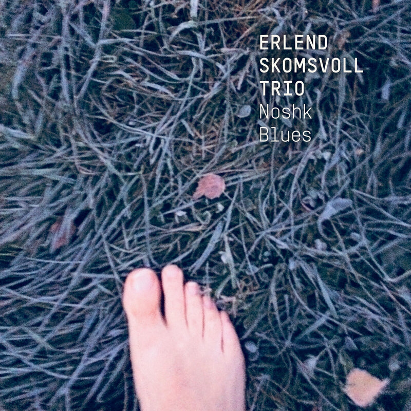 Erlend Skomsvoll Trio - Noshk Blues - 3779620