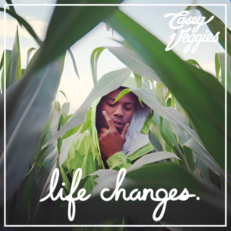 Casey Veggies - Life Changes - PNCINTL001