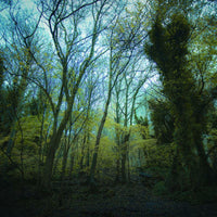 worriedaboutsatan - Time Lapse - MD283LP