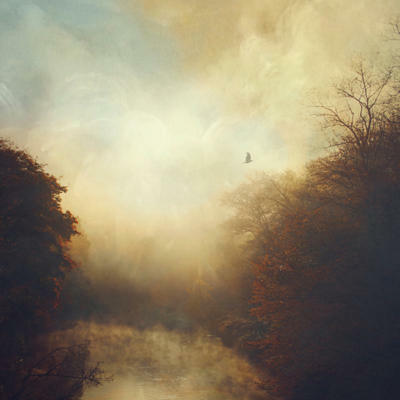 Stray Theories - This Light - MD301