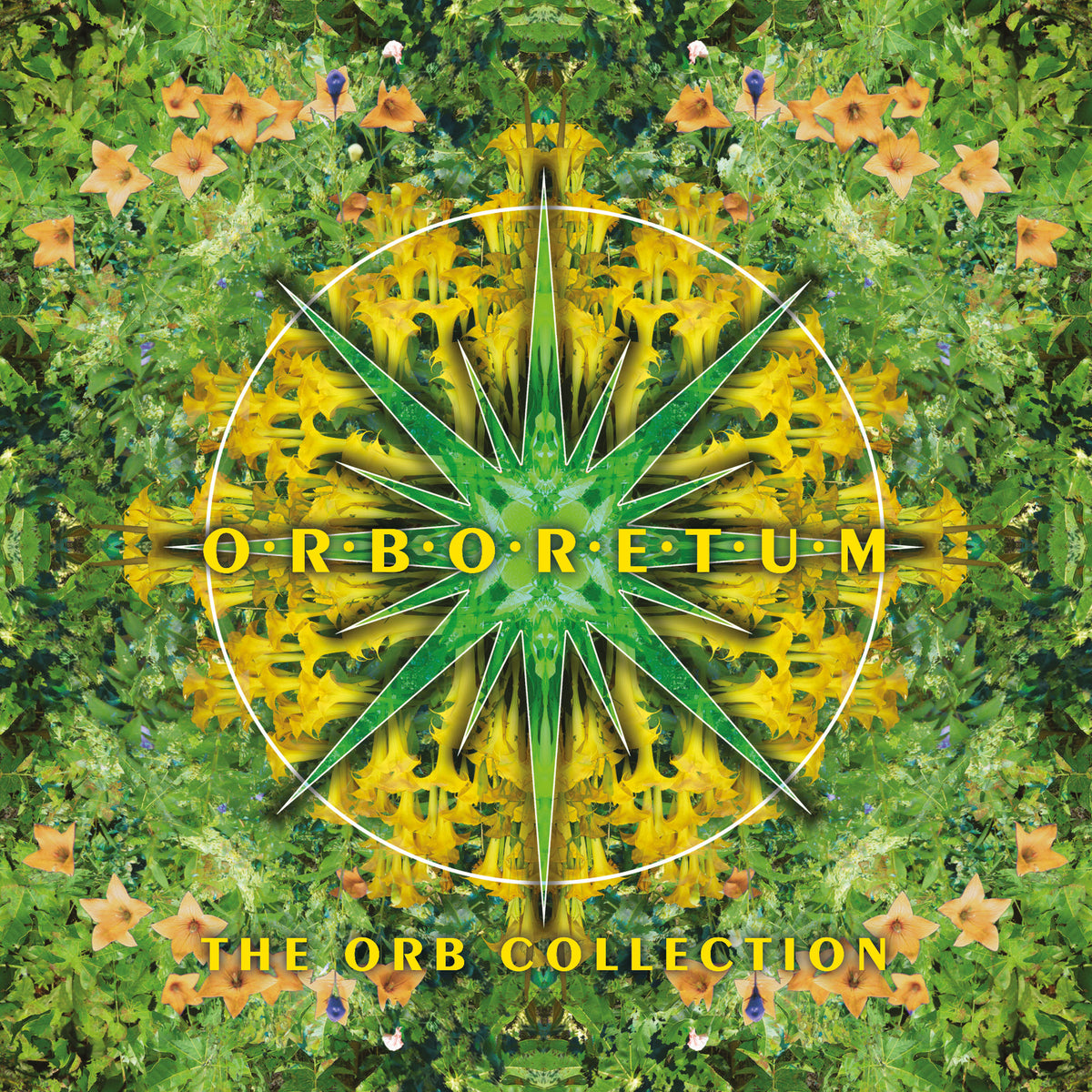 The Orb - Orboretum: The Orb Collection (LTD Edition 4LP Coloured Vinyl) - COOKLP820