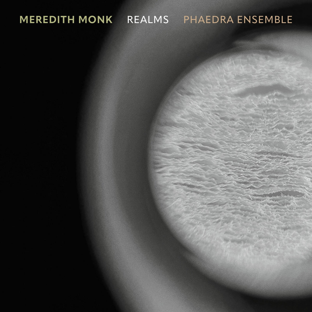 Phaedra Ensemble - Meredith Monk: Realms - CA21219