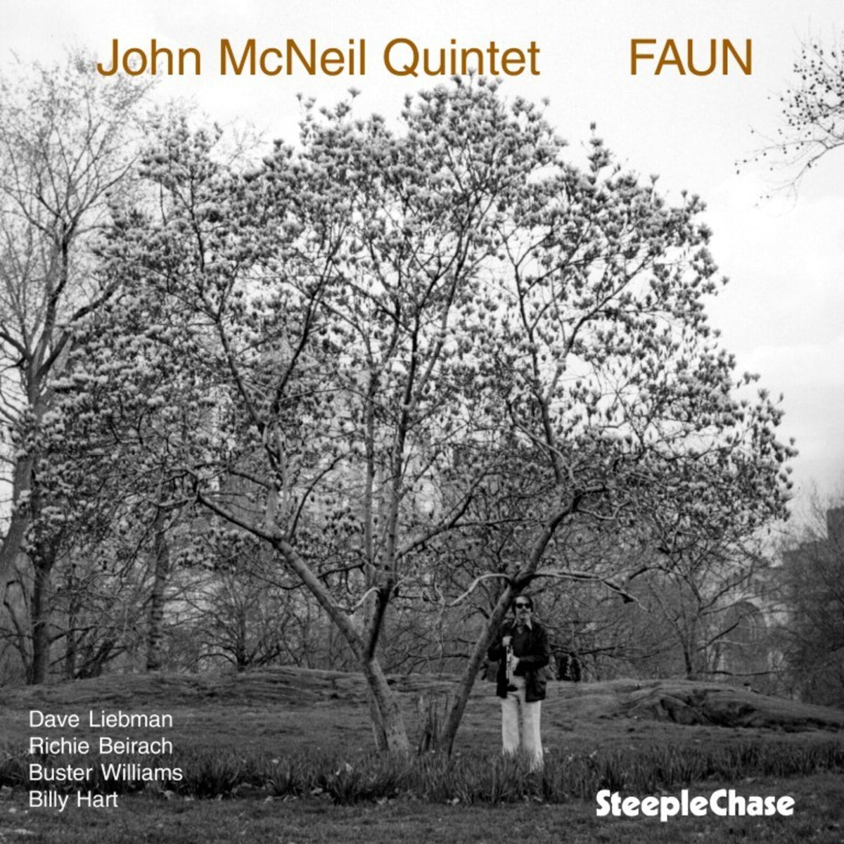 John McNeil - Faun - SCCD31117