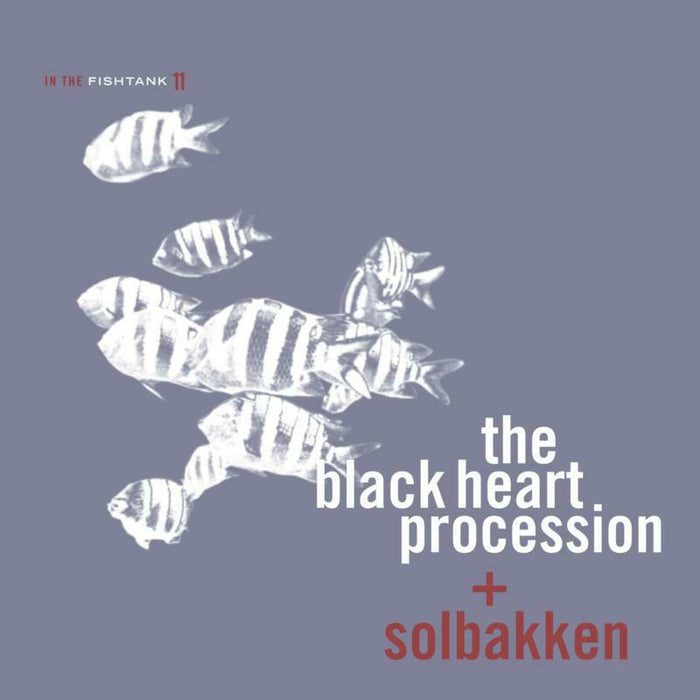 Black Heart Procession / Solbakken - In The Fishtank - FISH11LP