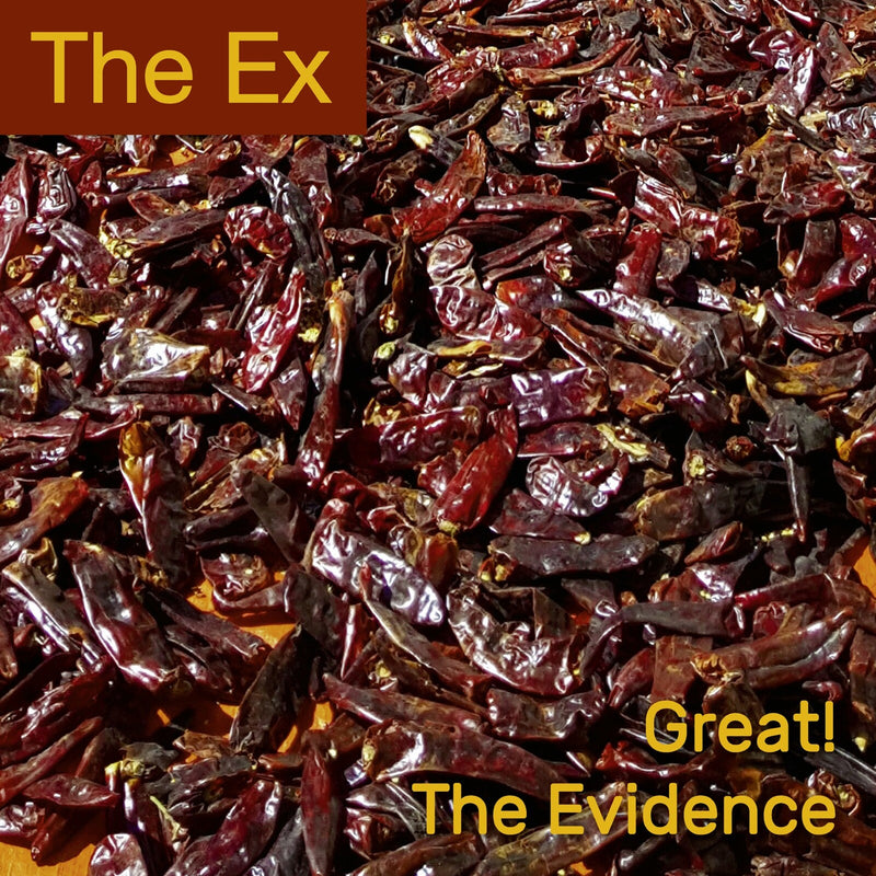 The Ex - Great! / The Evidence - EX148