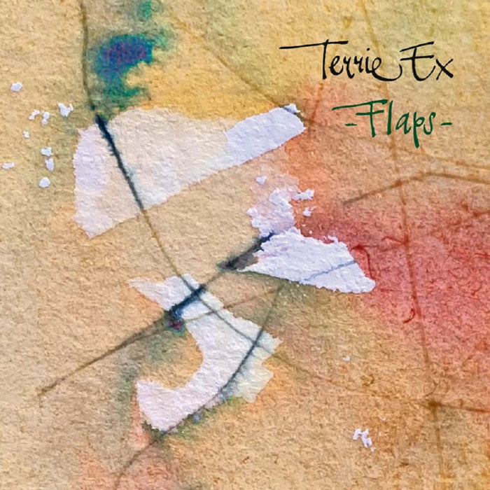 Terrie Ex - Flaps! - TERPIS38LP