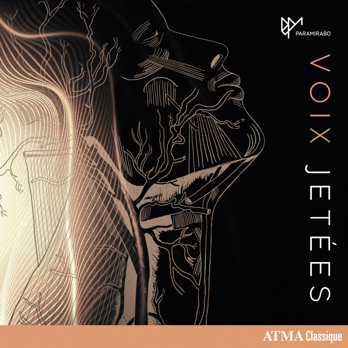 Jeffrey Stonehouse, Viviane Gosselin, Daniel Anez Garcia, Victor Alibert, Hubert Brizard, David Therrien-Brongo, Sarah Albu - Voix jetees (Voices in motion) - ACD22887