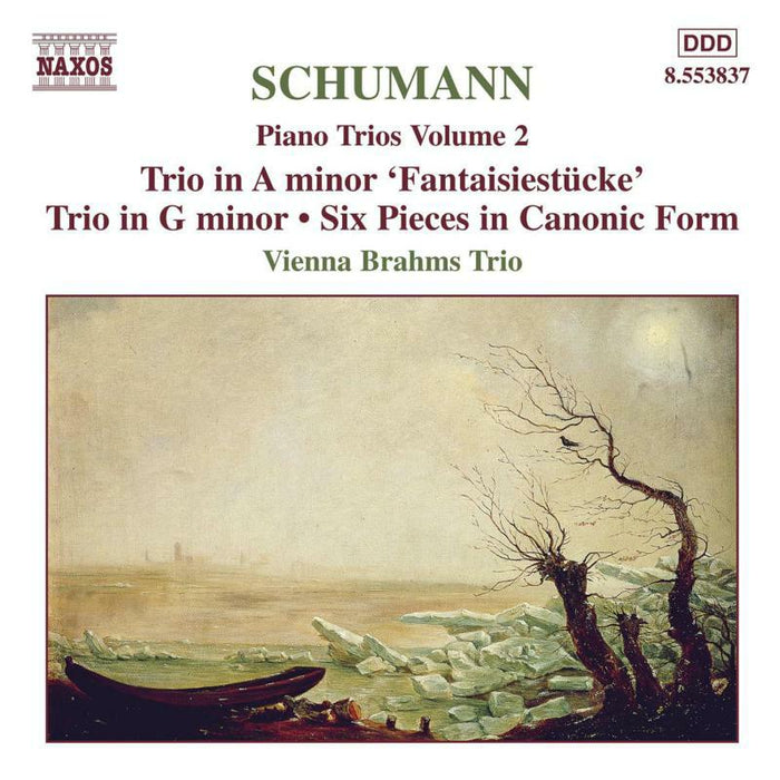 Vienna Brahms Trio - SCHUMANN, R.: Piano Trios, Vol. 2 - 8553837