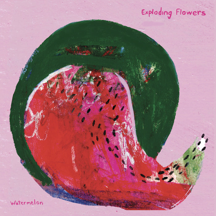 Exploding Flowers - Watermelon/Peacock - MER065