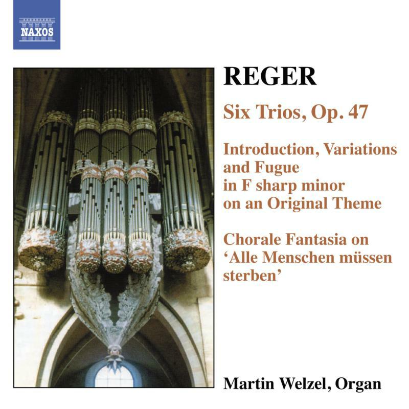 Martin Welzel - REGER: 6 Trios, Op. 47 / Introduction, Variations and Fugue, Op. 73 - 8557338