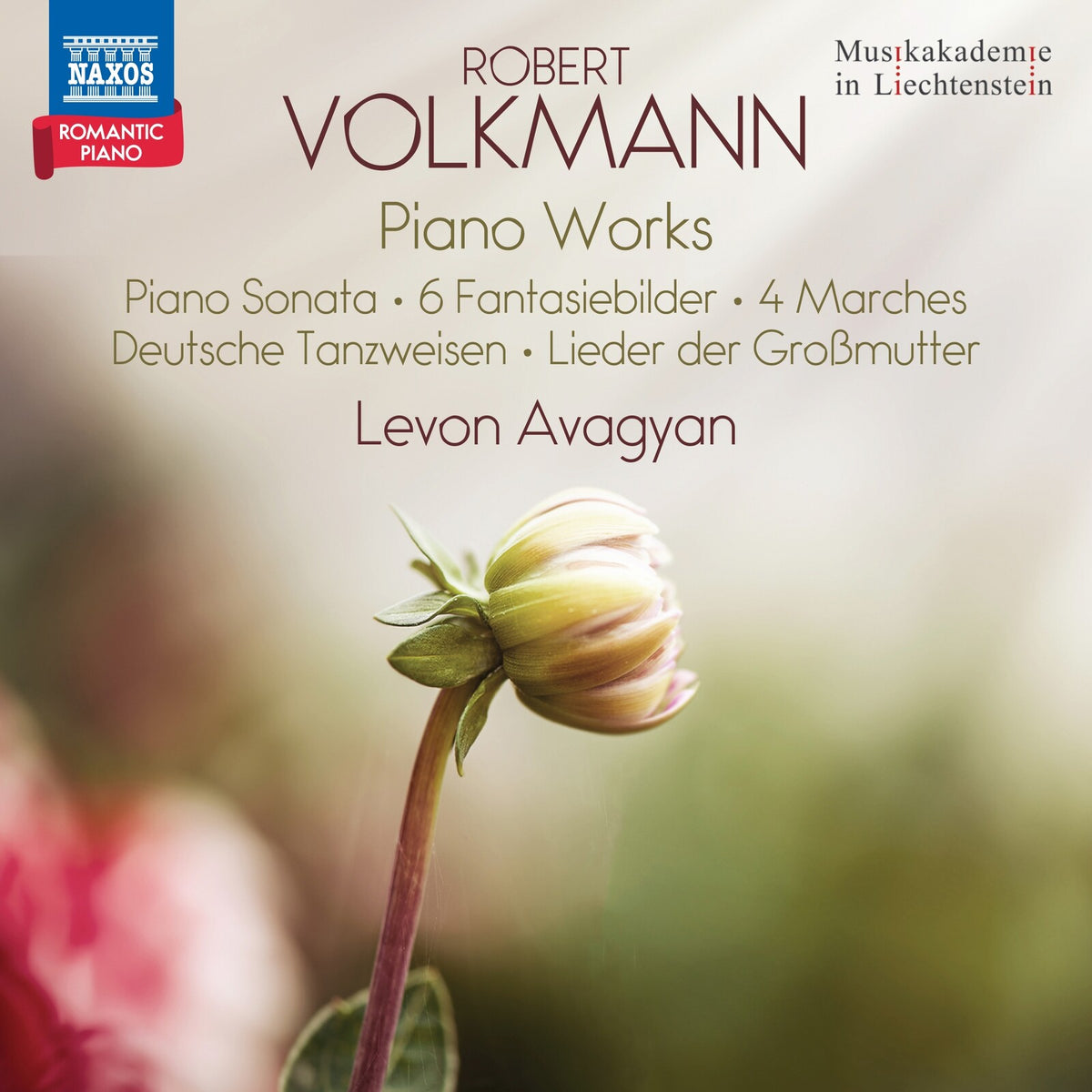 Levon Avagyan - Robert Volkmann: Piano Works (Piano Sonata; 6 Fantasiebilder; 4 Marches; Deutsche Tanzweisen; Lieder der Grobmutter) - Romantic Piano, Vol. 8 - 8574674