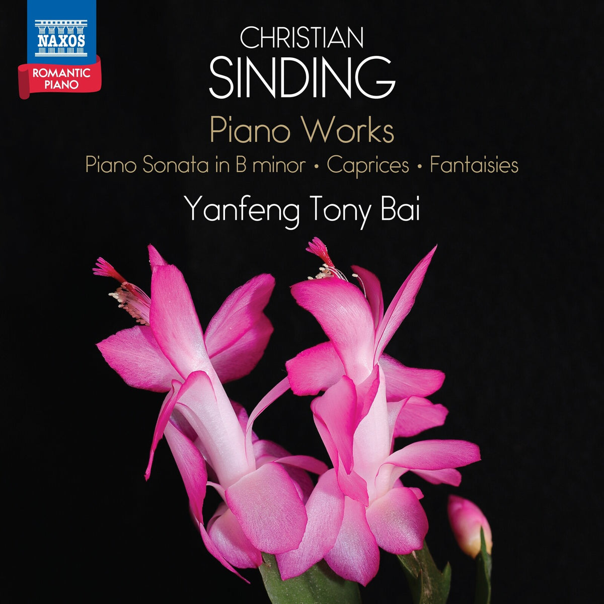 Yanfeng Tony Bai - Christian Sinding: Piano Works (Piano Sonata in B minor; Caprices; Fantaisies) - Romantic Piano, Vol. 13 - 8574719