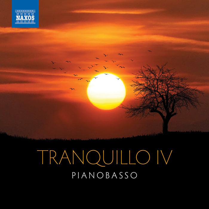 PianoBasso - Tranquillo IV - 8574780