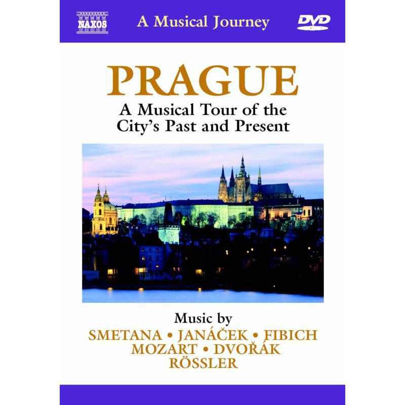 Various - MUSICAL JOURNEY - 2110503