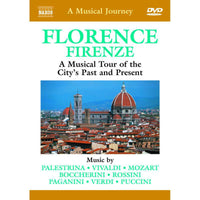 Various - MUSICAL JOURNEY - 2110513