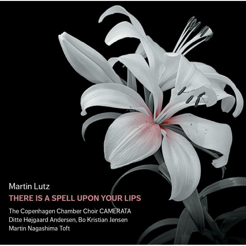 Camerata/Toft - Lutz:A Spell Upon Your Lips - 8224724