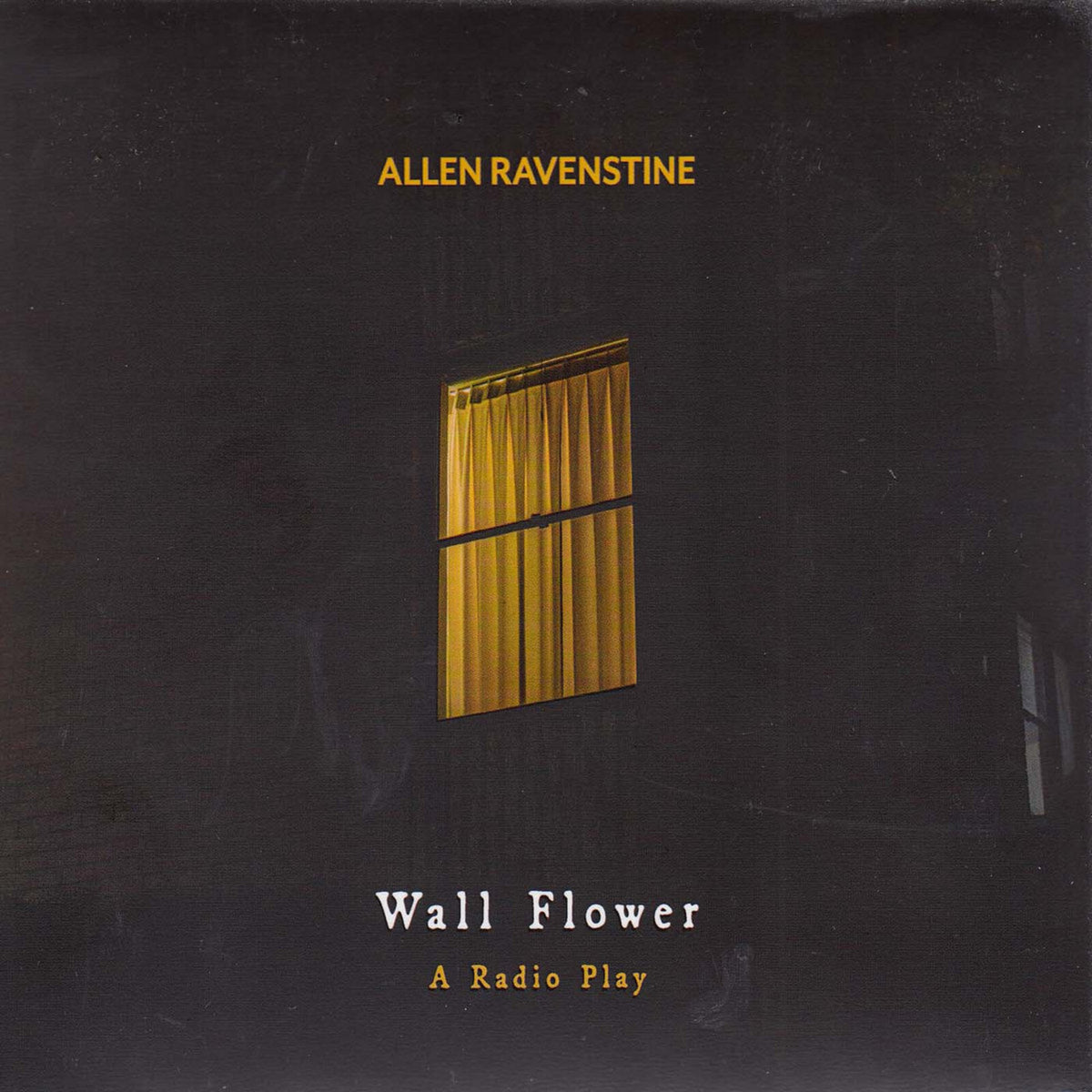 Allen Ravenstine,Allen - Wall Flower - A Radio Play - RERAR5