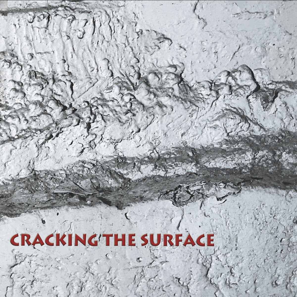 Thomas Dimuzio, Tom Nunn, Scott R Looney, & David Michalak. - Cracking The Surface - RERCS4