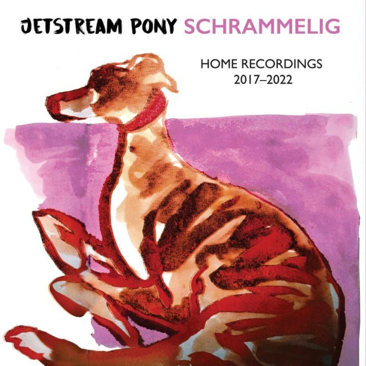 Jetstream Pony - Schrammelig - SN194CD