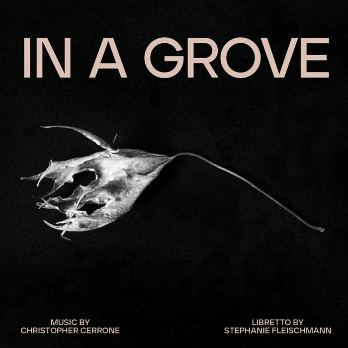 Christopher Cerrone - In A Grove - ICR028