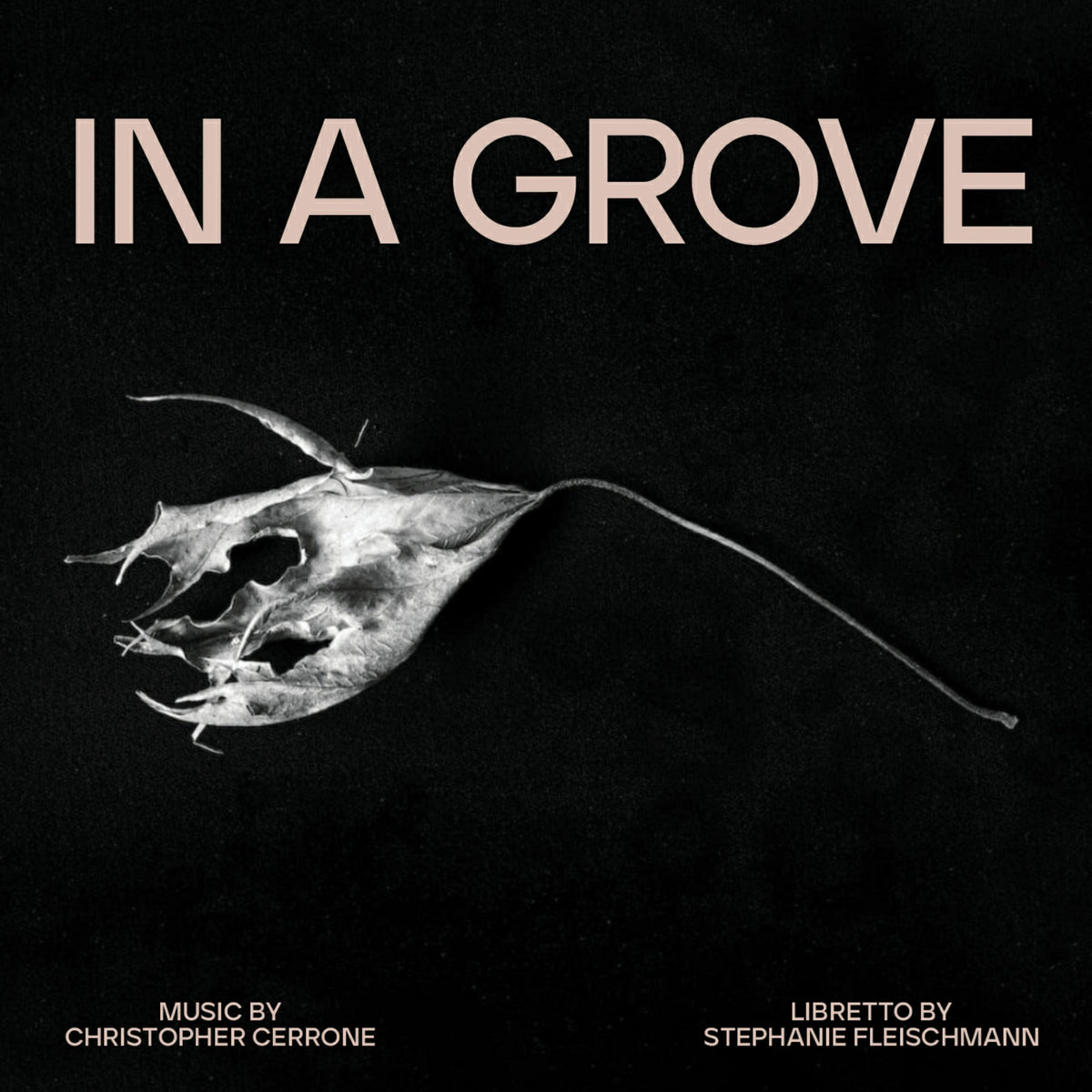 Christopher Cerrone - In A Grove - ICR028