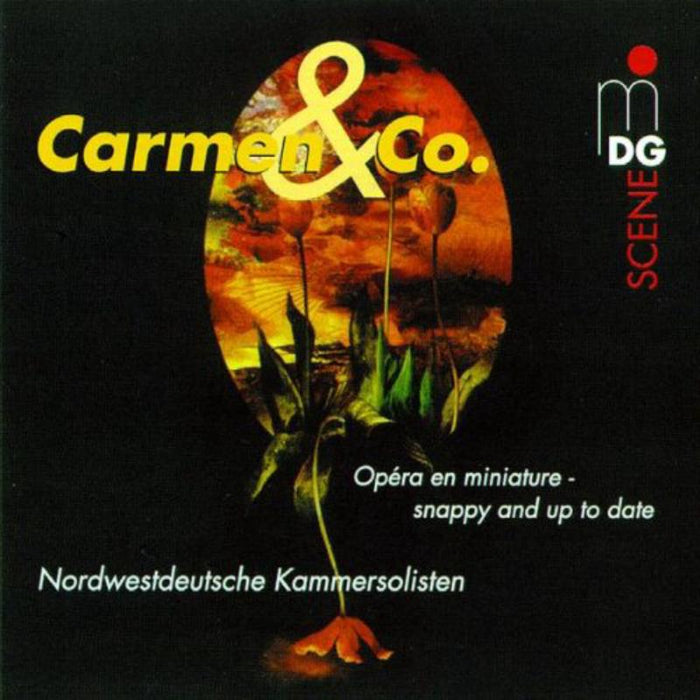 Various - Rau/Ruehl/Becker/Sturm/NWD Kammersolisten - MDG6100914